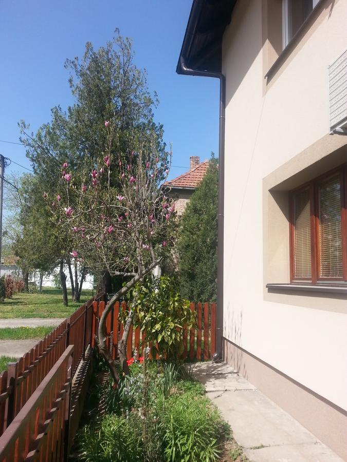 Sweet Dreams Apartment Aranđelovac Exterior foto
