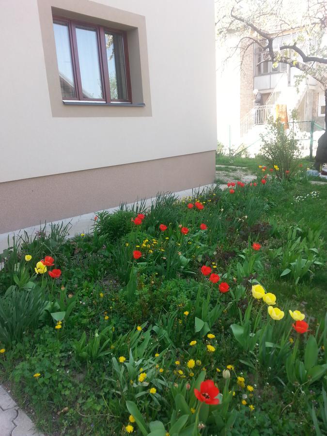 Sweet Dreams Apartment Aranđelovac Exterior foto